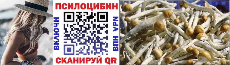 Псилоцибиновые грибы GOLDEN TEACHER  Купить закладки  Оха 